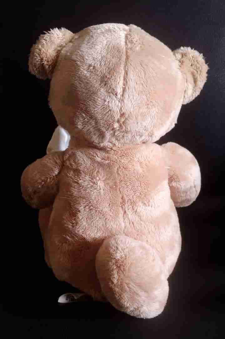 Osito de peluche musical, foto 2 de 2