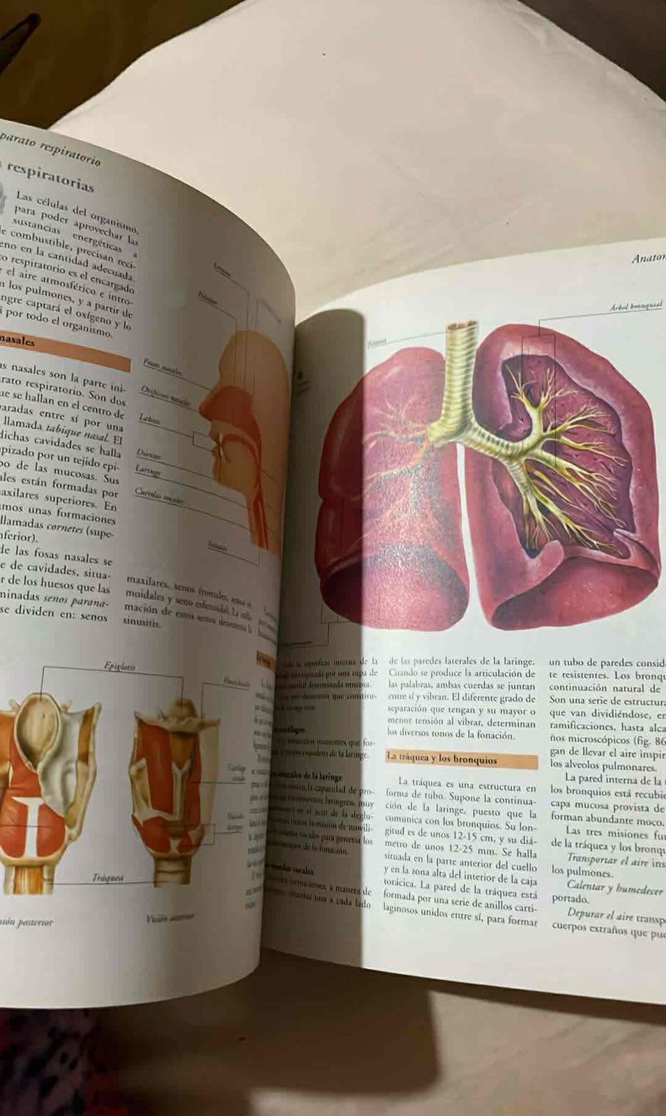 Libro Atlas Visuales Océano Anatomía, foto 3 de 6