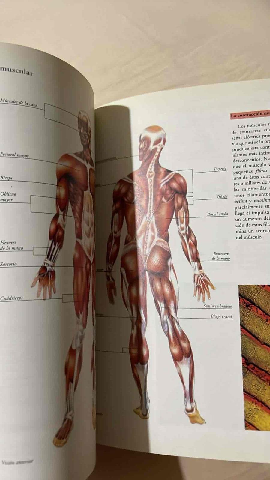 Libro Atlas Visuales Océano Anatomía, foto 4 de 6
