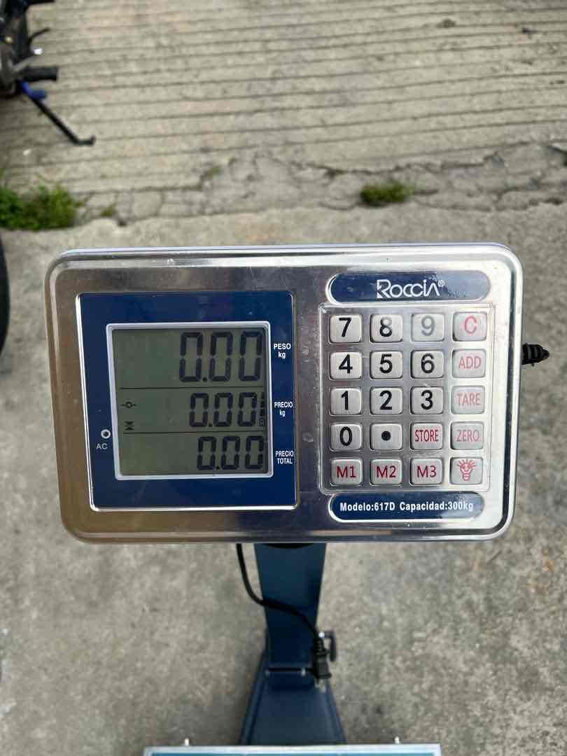 Balanza de Plataforma Rocci Digital 300kg, foto 2 de 2