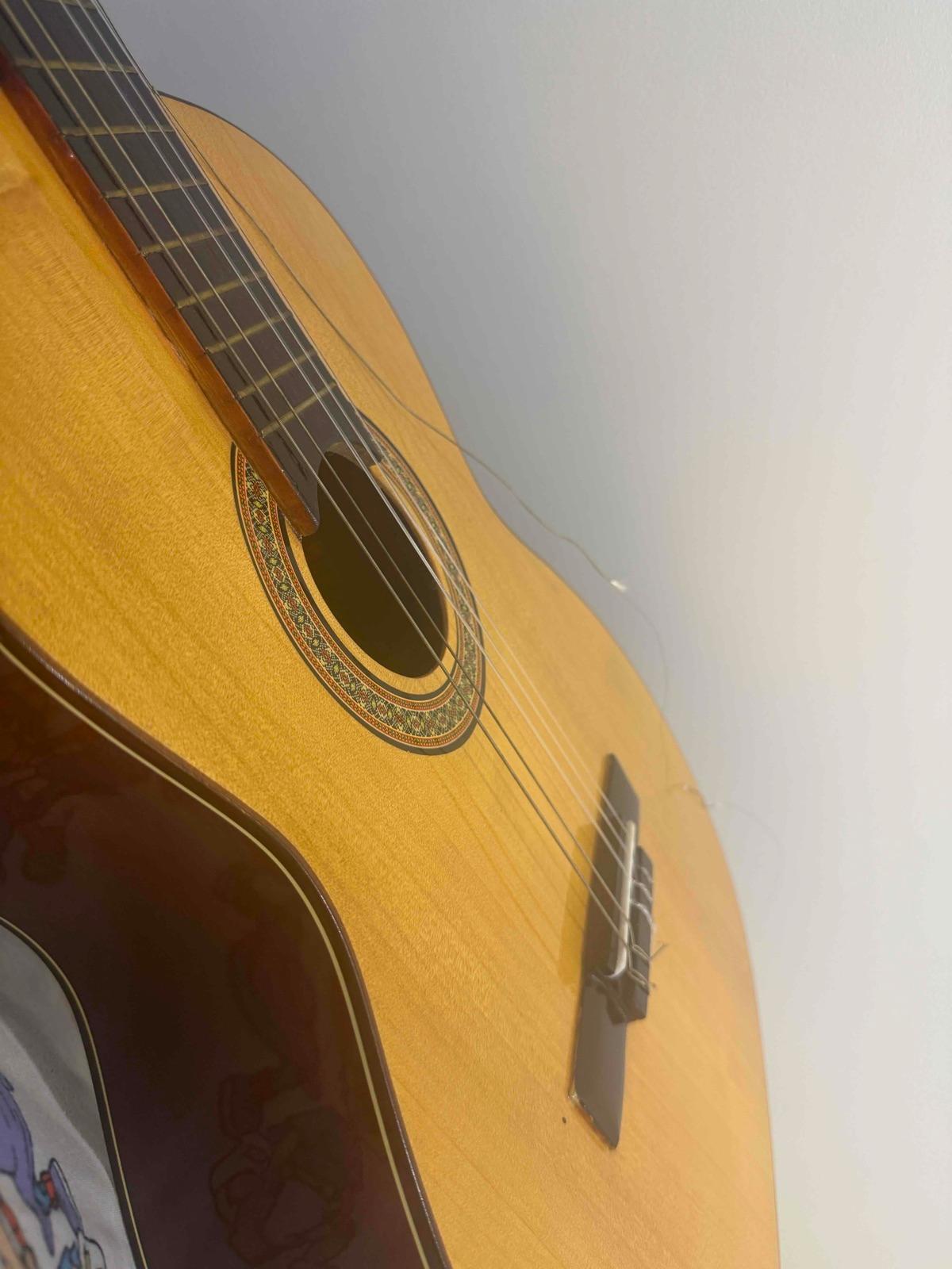 Guitarra Acústica La Brasileña, foto 5 de 7