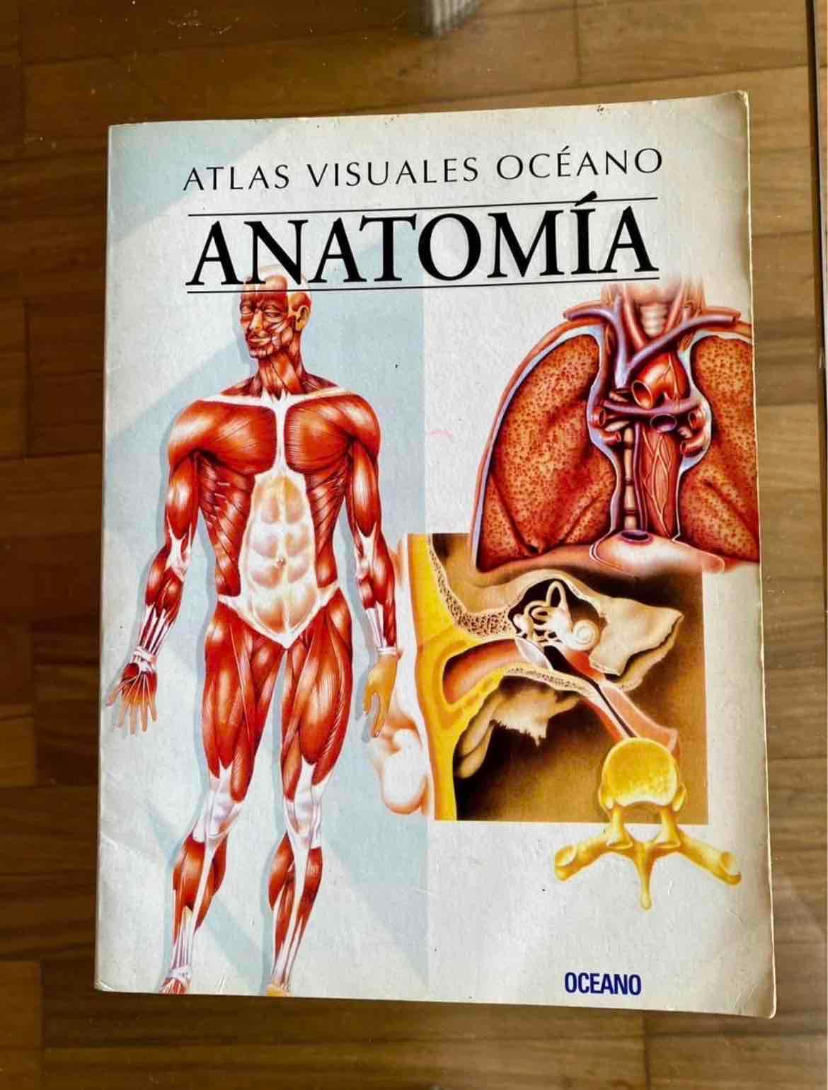 Libro Atlas Visuales Océano Anatomía, foto 1 de 6