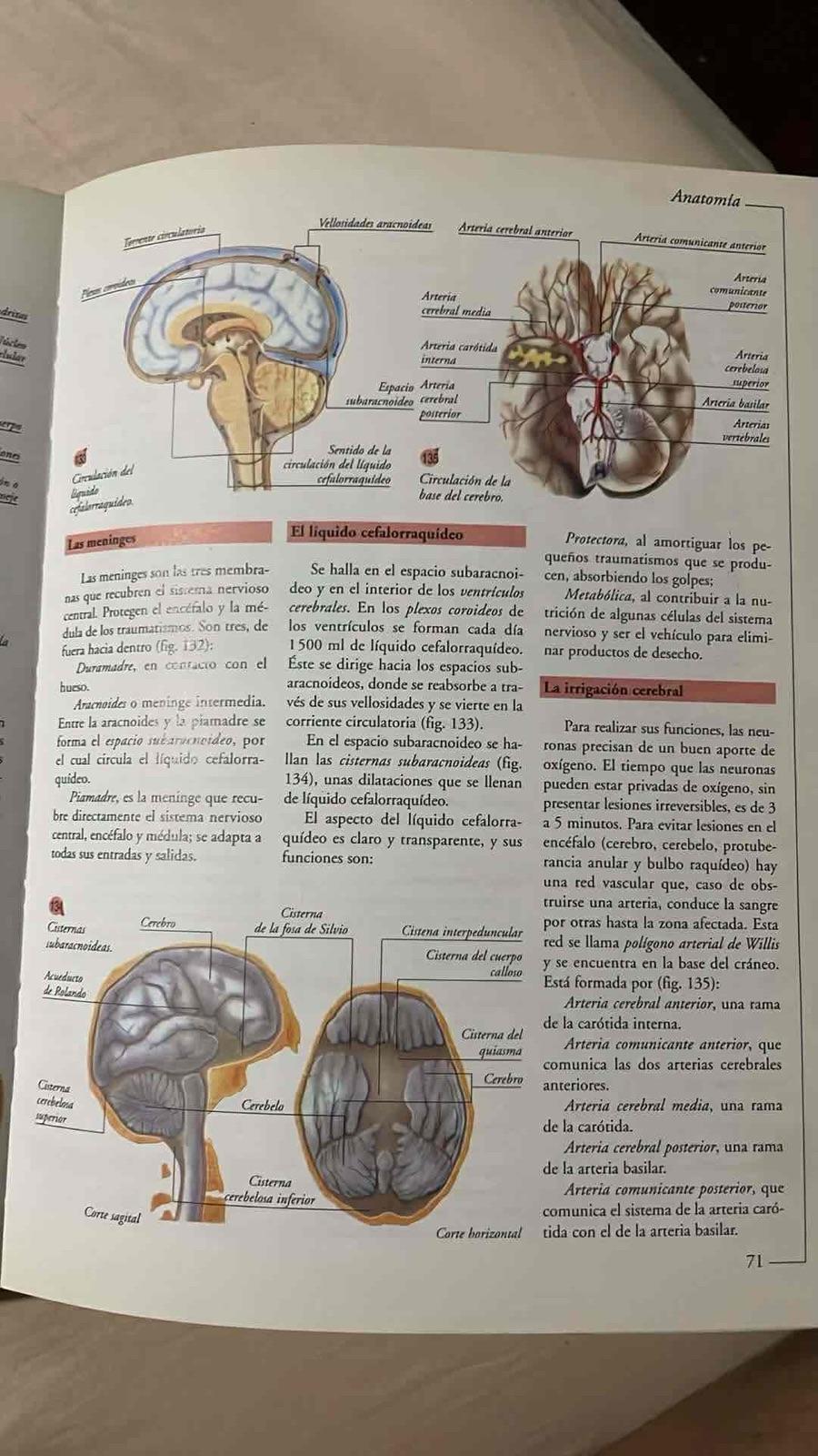 Libro Atlas Visuales Océano Anatomía, foto 2 de 6