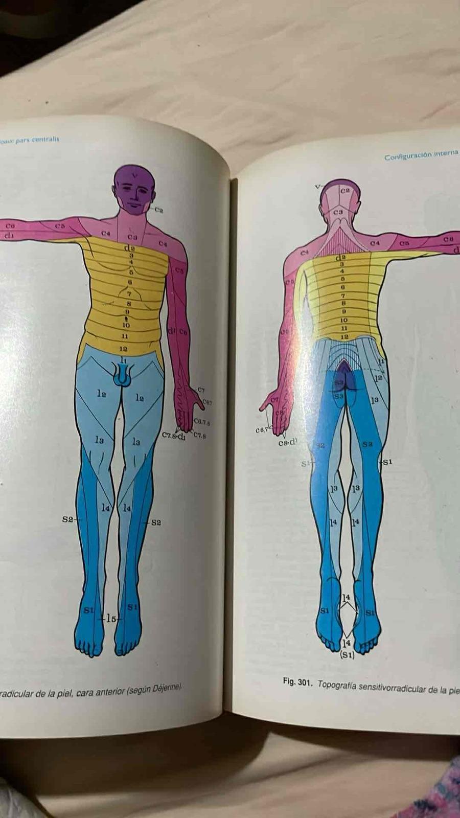 Libro de Anatomía Humana Tomo 1 Latarjet-Ruiz Liard, foto 8 de 8