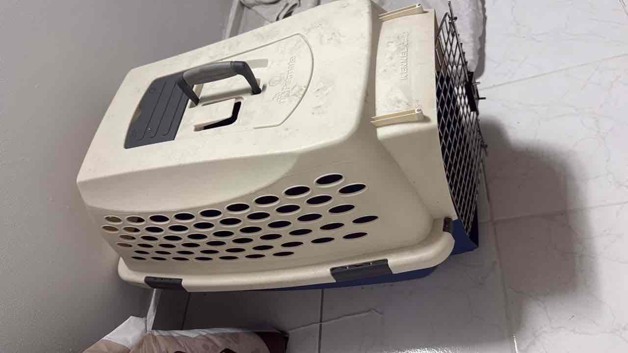 Transportadora de Mascotas Petmate Kennel Cab, foto 2 de 2