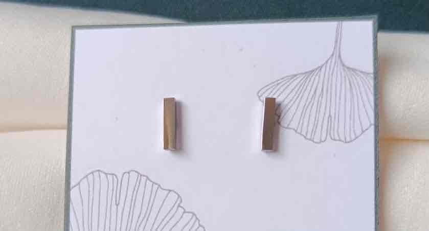 Zarcillos tipo barra plateados, foto 1 de 1