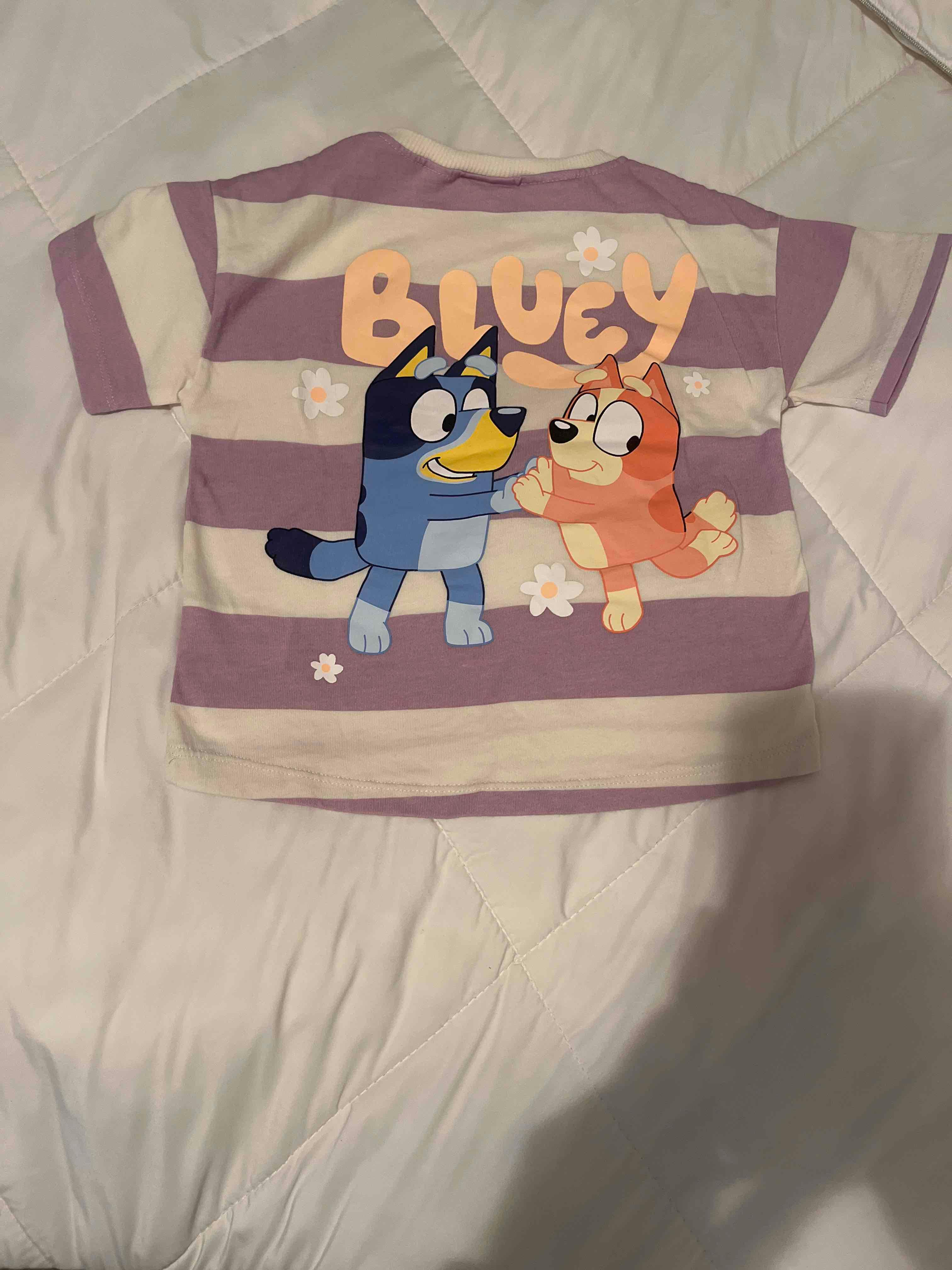 Conjunto Bluey y Bingo Marca Zara, foto 5 de 5